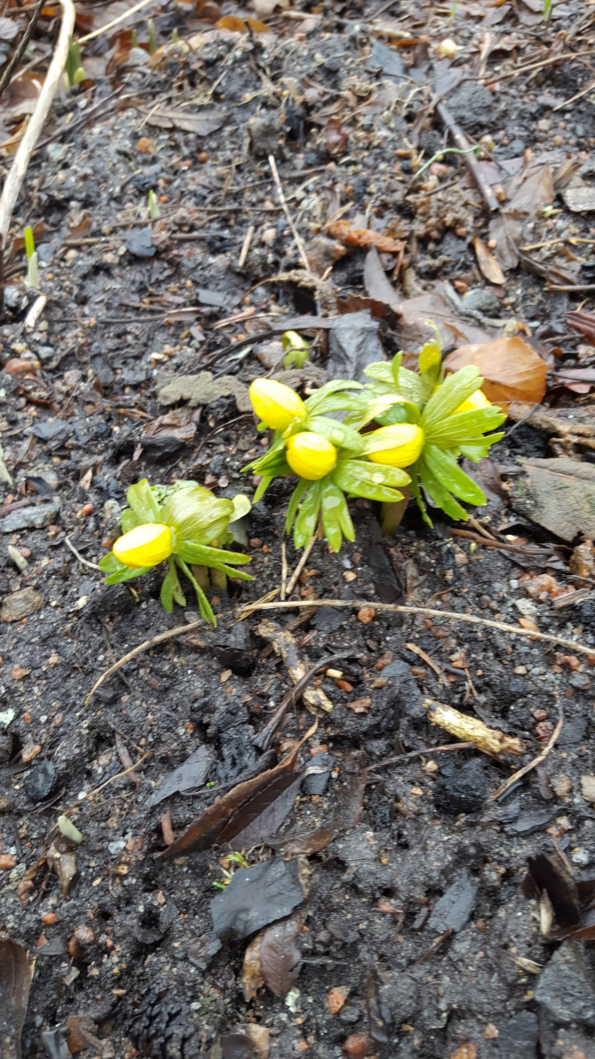 Ännu ett steg&nbsp;avklarat!