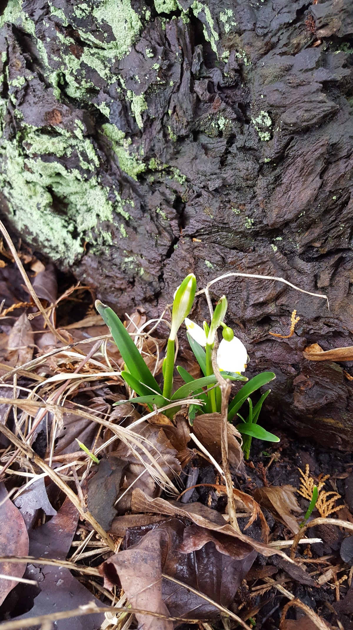 Bokslut efter en litterär&nbsp;vecka