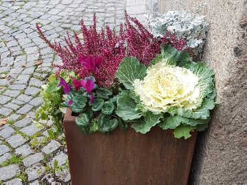 Upplevelse på Konstmuseet