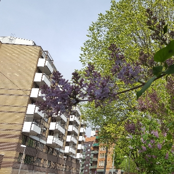 101 ord – snart&nbsp;deadline