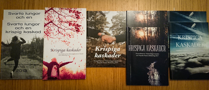 Krispiga kaskader – tävling&nbsp;2019