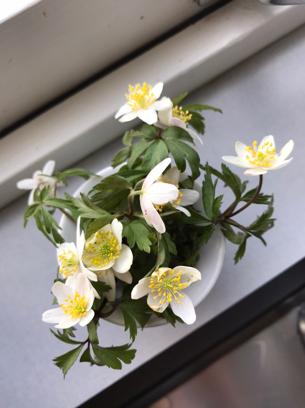 Omtanke i coronatider –&nbsp;lästips