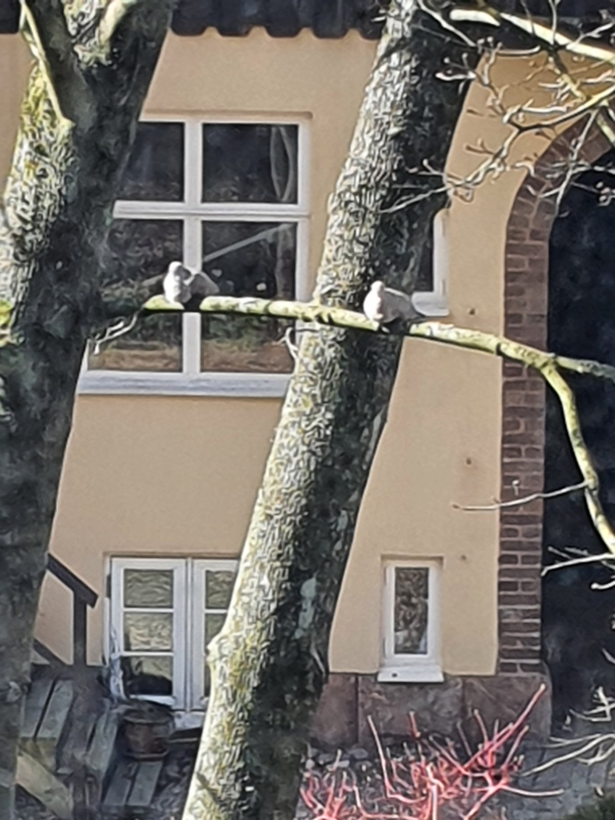 Ny novell: Farväl till&nbsp;Majorna